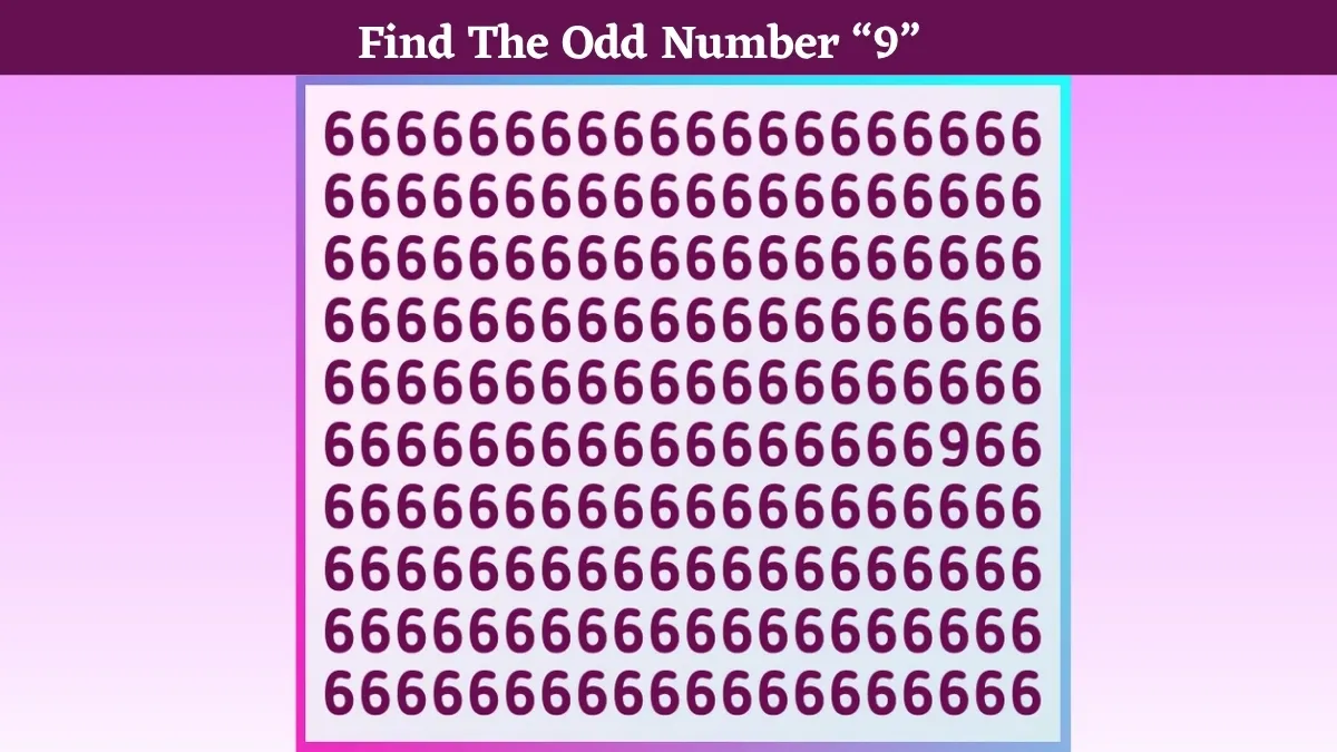 Can You Detect The Odd Number 9 Among The Series Of 6 Using Your Hawk-Eye Vision?